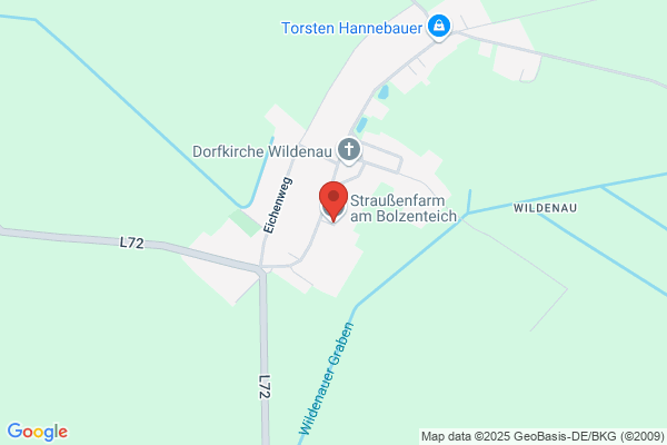 Straußenfarm am Bolzenteich