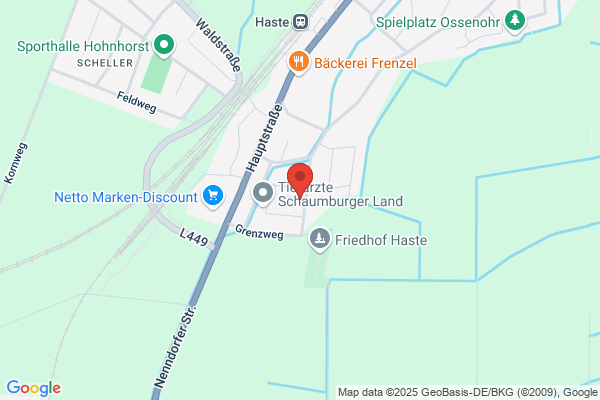 Vier Pfötchen