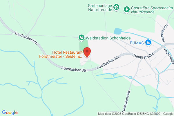 Hotel Forstmeister