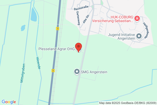 Angerstein