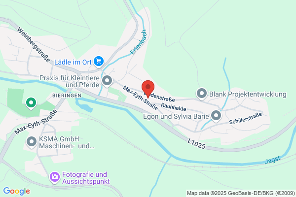 Elfriede Manz