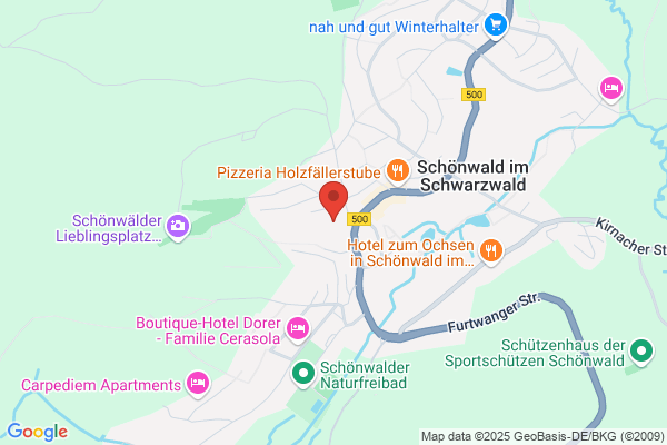 Schwarzwald-Aparthotel Hirschen Pinzka