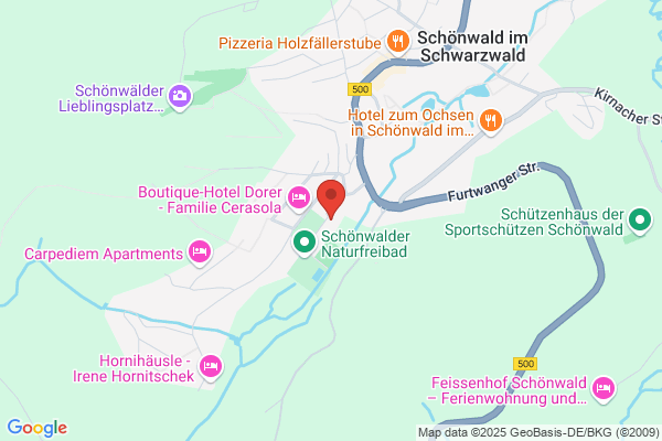 Schwarzwaldtanne