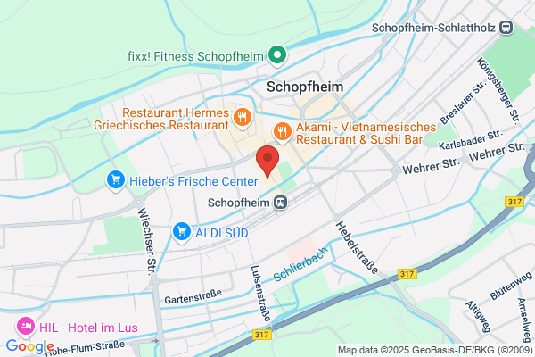 Action Schopfheim