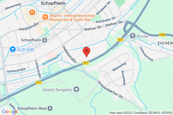 Freie Waldorfschule Schopfheim e.V.