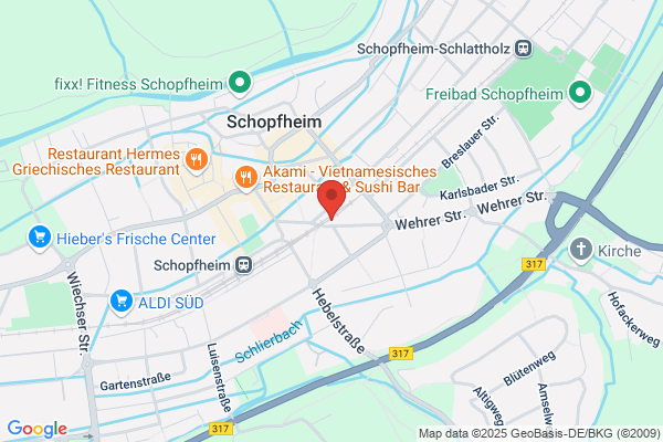 TSG Schopfheim Basketball