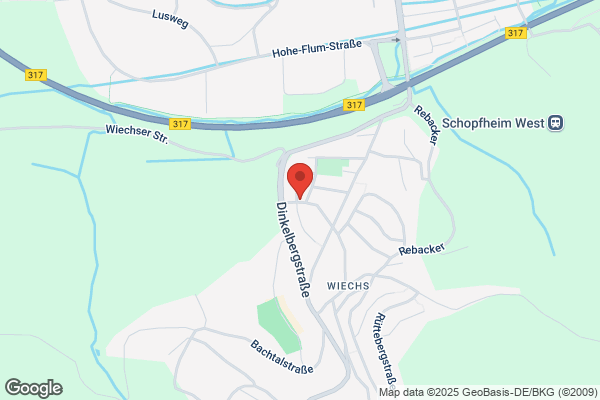 Wiechser Bure-Fasnachts Gesellschaft