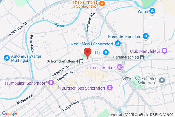 Restaurant Pizza-Kurier
