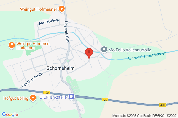 Dipl.-Volkswirt Werner Franz