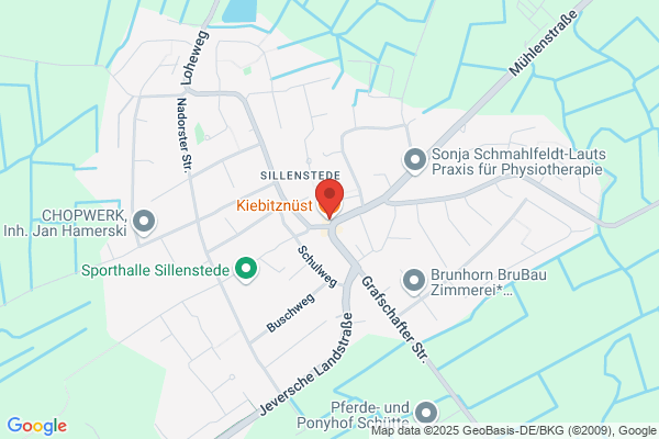 Kiebitznüst