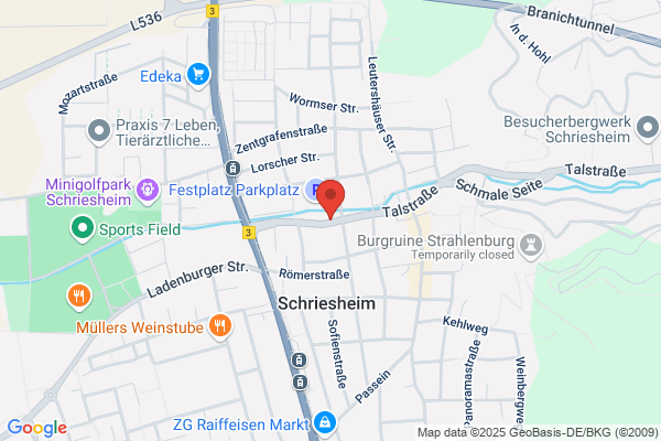 Freiwillige Feuerwehr Schriesheim