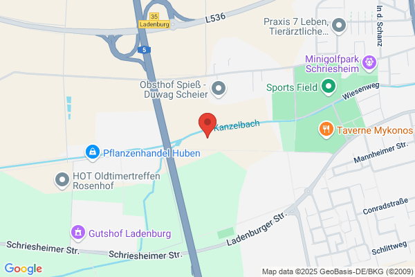WVE Schriesheim GmbH