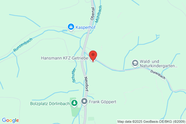 Hansmann