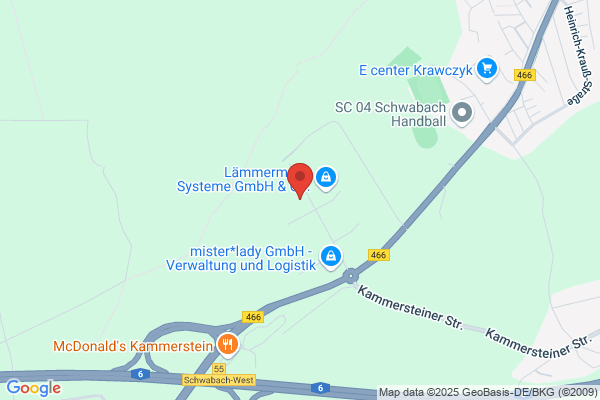 RIFAST Systems GmbH & Co. KG