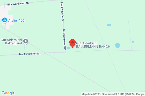 Reitanlage Engelhardt, Scholen - Aus Liebe zum Pferd und der Freude am Reiten!
