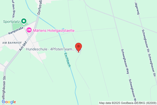 Hundeschule - 4PfotenTeam -