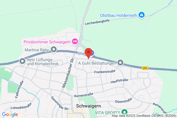 Super Pizza- und Chinaservice