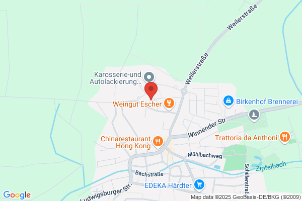 pro Networks GmbH