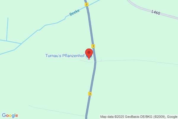 Turnaus