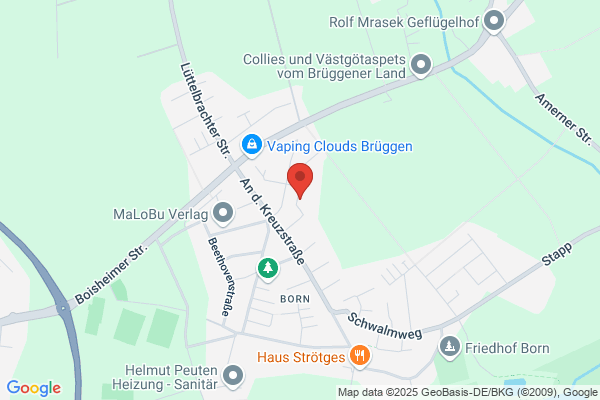 Immobilien Stauder