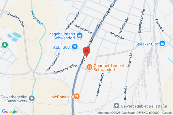 AUTODIENST