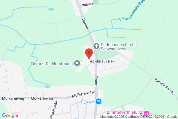 Dammschule