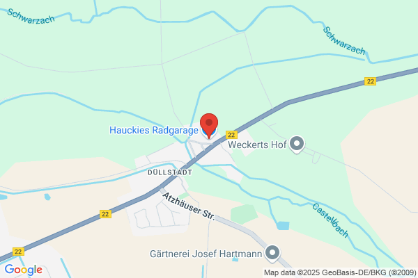 Motor Hauck