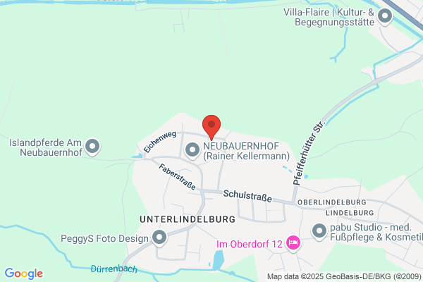 Katzenpension himmlisch-betreut