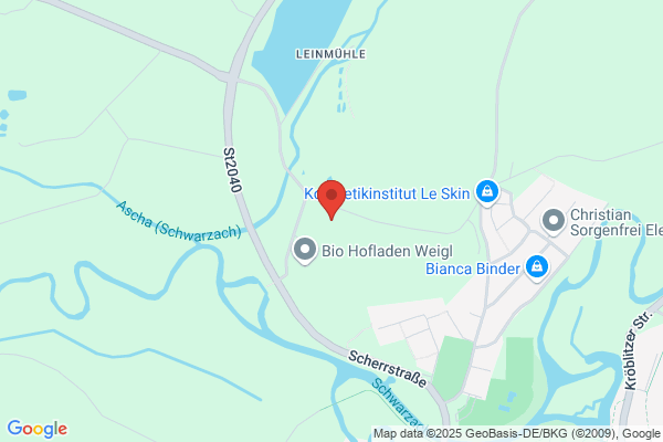 DMVS Dienstleistungsservice
