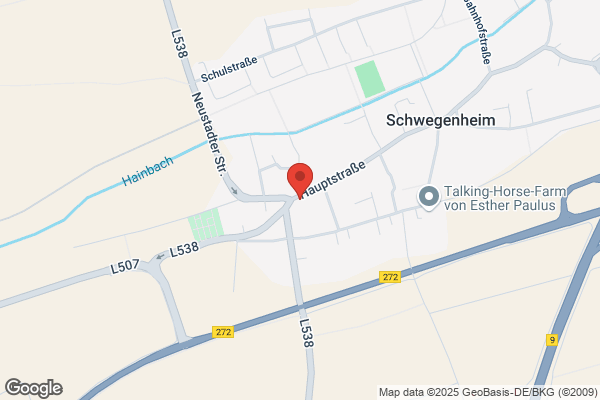 Pferdesportwäscherei Lischer