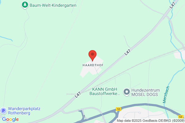 Erwin Feller