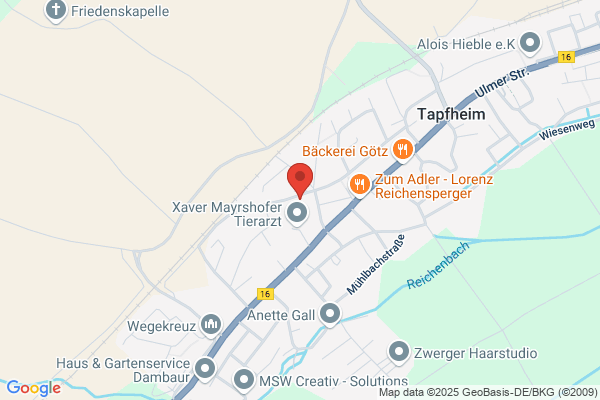 Vereinigte Musikkapelle Tapfheim e.V.