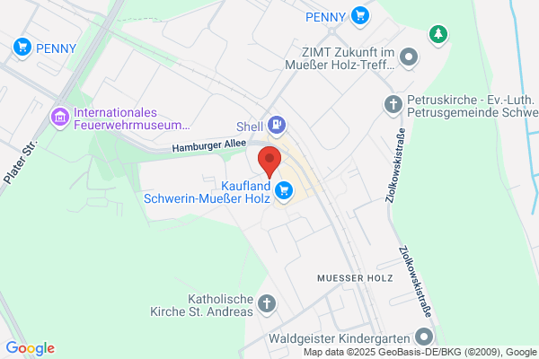 Action Schwerin