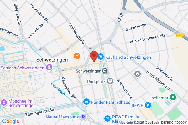 SCHLESINGER