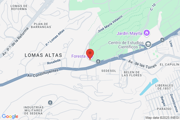 Salon Foresta