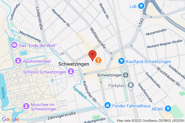 H. Schneider, H. Schneider