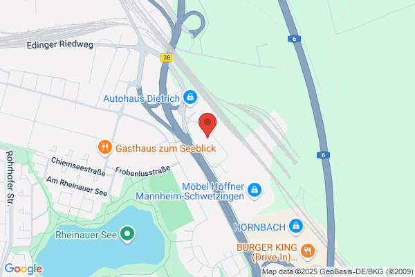 DEKRA Automobil GmbH Außenstelle Mannheim-Rheinau
