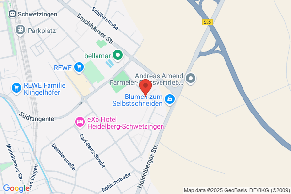Schimper-Realschule