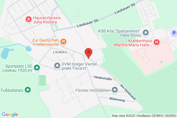 Heidepension