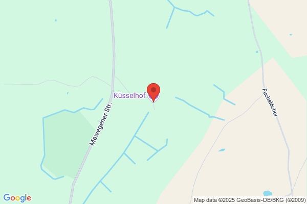 Kussinn