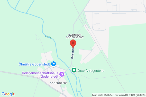 Schütte, Ilse