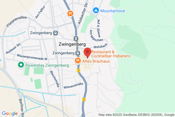 Salon Struwwelliese
