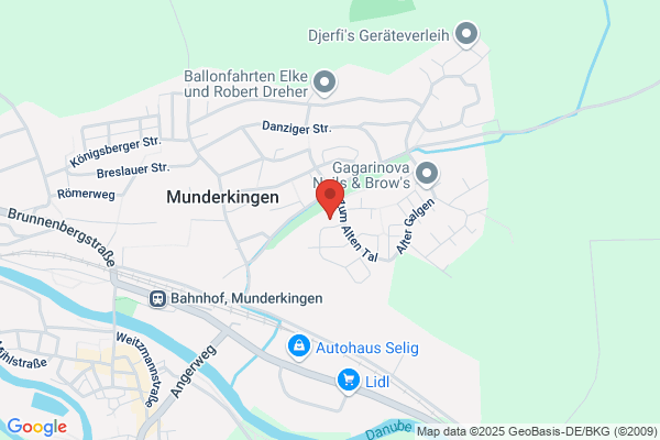 Internet-Dienstleistungsagentur