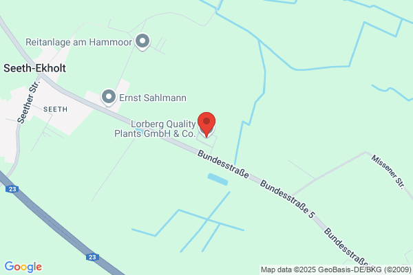 Lohmann Baum- u. Rosenschulen, Ernst