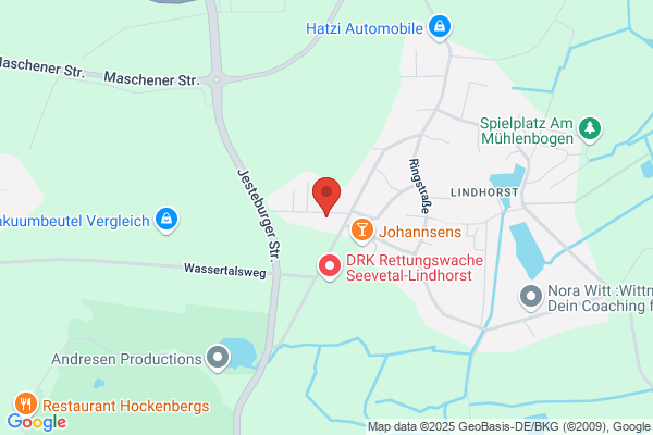 Chamäleon Werbegestaltung