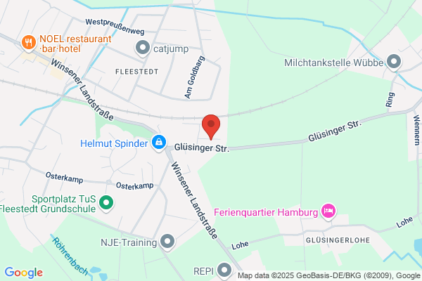 Hansebild