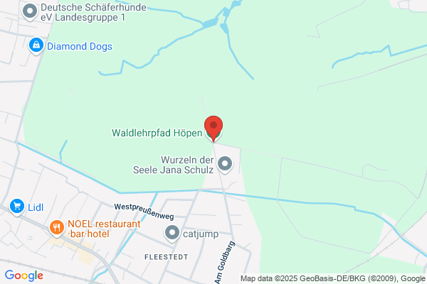 Waldquelle