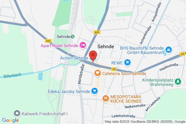 Action Sehnde