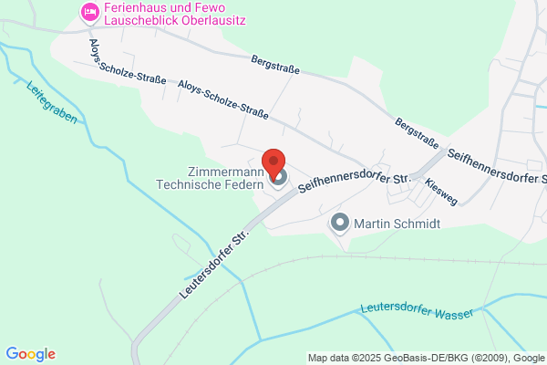 Zimmermann Technische Federn GmbH