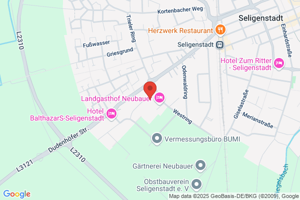 Seebacher